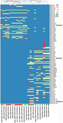 Structural Diversity and Bioactivities of Peptaibol Compounds From the Longibrachiatum Clade of the Filamentous Fungal Genus Trichoderma